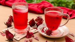 Resep Es Teh Rosella Lidah Buaya